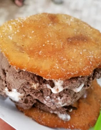 The Fat Donkey Ice Cream and Fine Desserts – Cocoa Beach