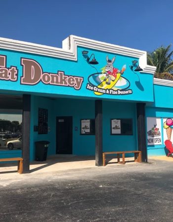 The Fat Donkey Ice Cream and Fine Desserts – Indian Harbour Beach